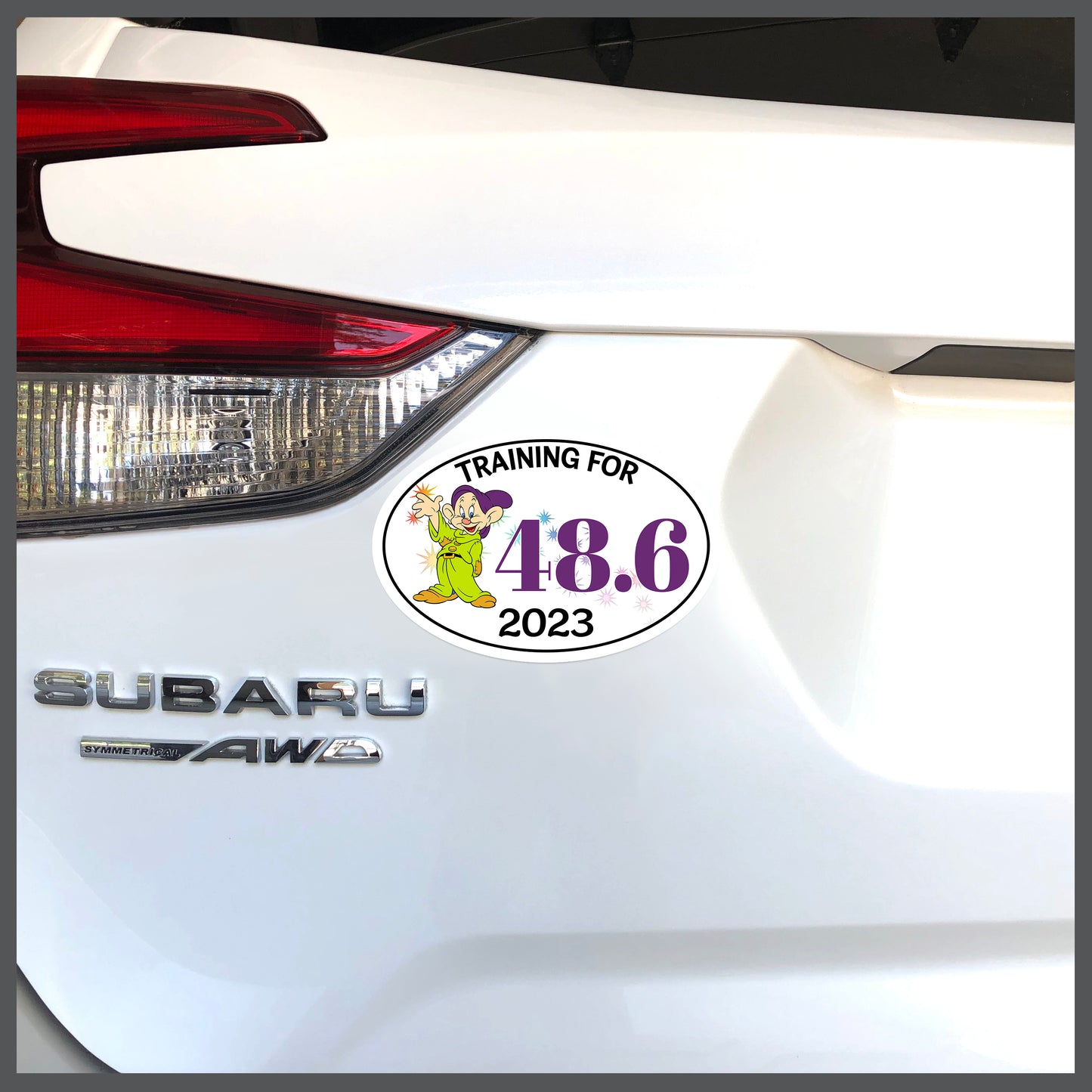 RunDisney Dopey Character with Stardust and Distance 48.6 TRAINING FOR with YEAR OPTION Decal or Car Magnet