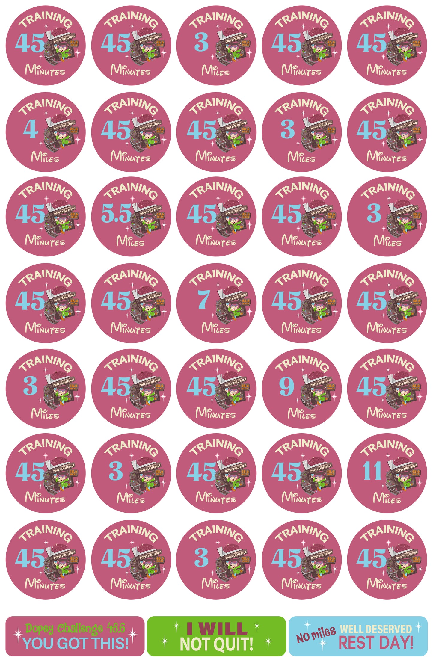 RunDisney Marathon Weekend Dopey Challenge 29-Week Galloway Training Plan Stickers THEMED 2026