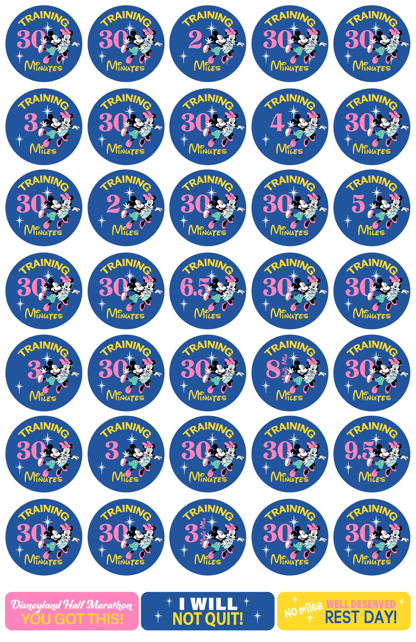 Disneyland Half Marathon Weekend Half Marathon 19-Week Galloway Training Plan Stickers THEMED 2024