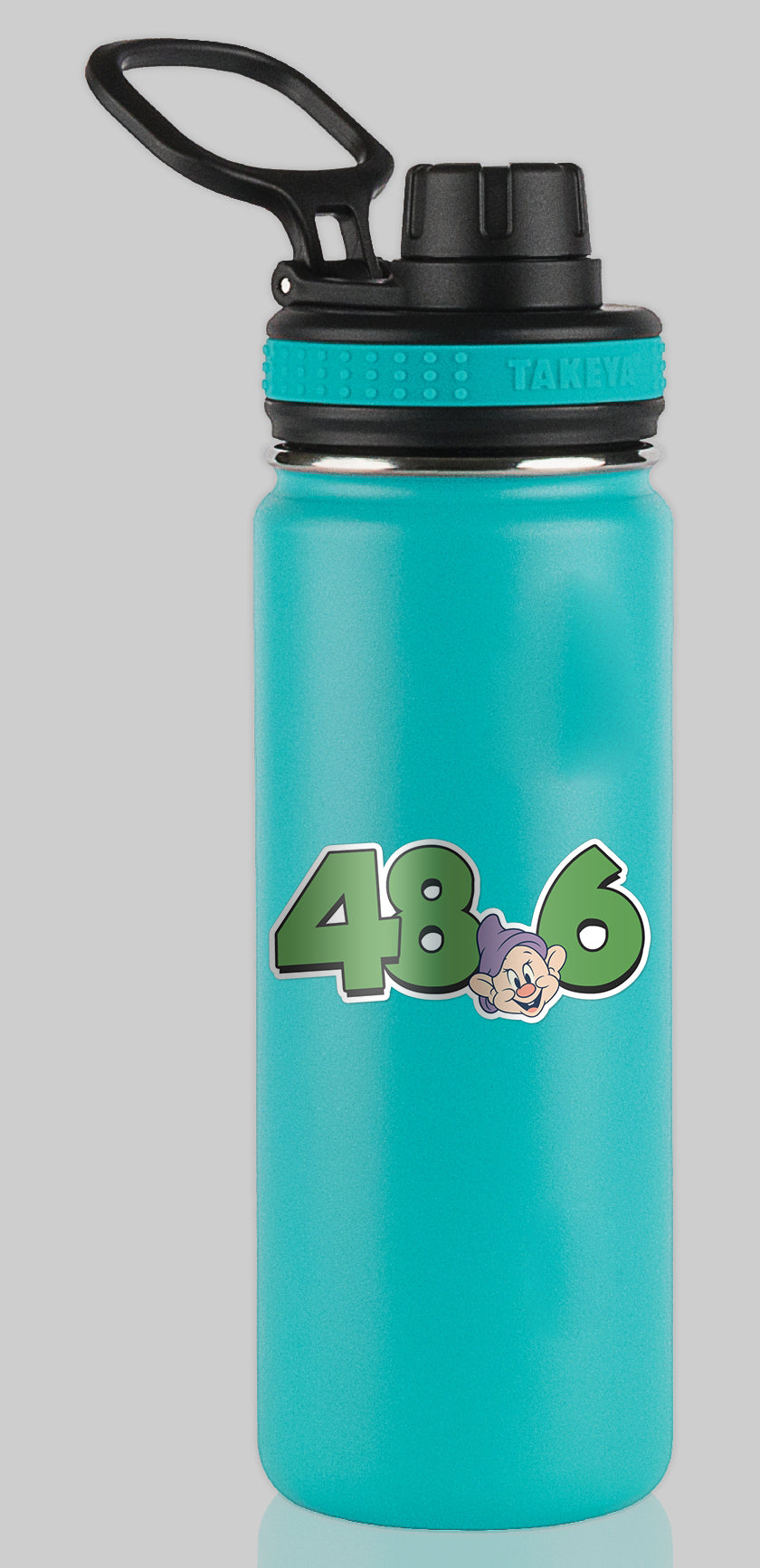 RunDisney Marathon Weekend 2027 Dopey Challenge 48.6 Miles Dopey Decimal Water Bottle Mug Sticker